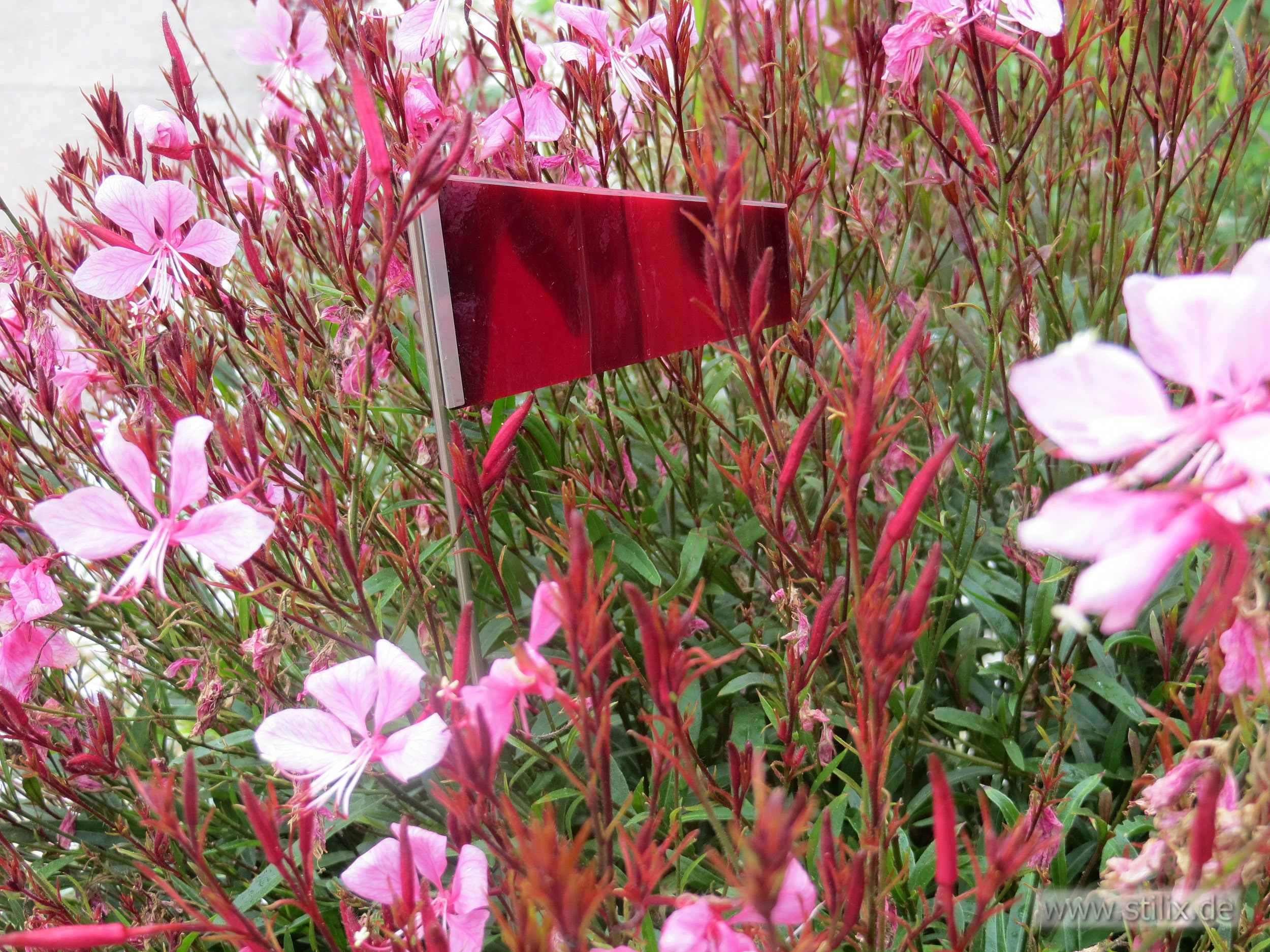 Datei begleiter/begleiter-02.jpg wurde nicht gefunden.