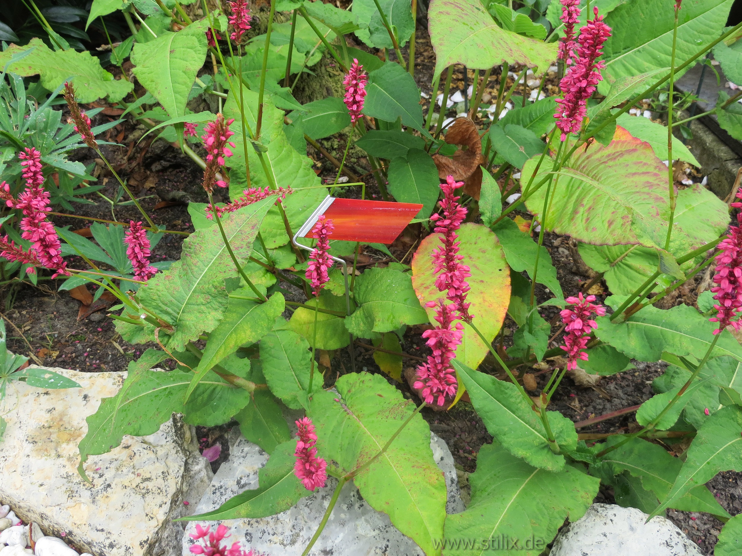 Datei begleiter/begleiter-03.jpg wurde nicht gefunden.