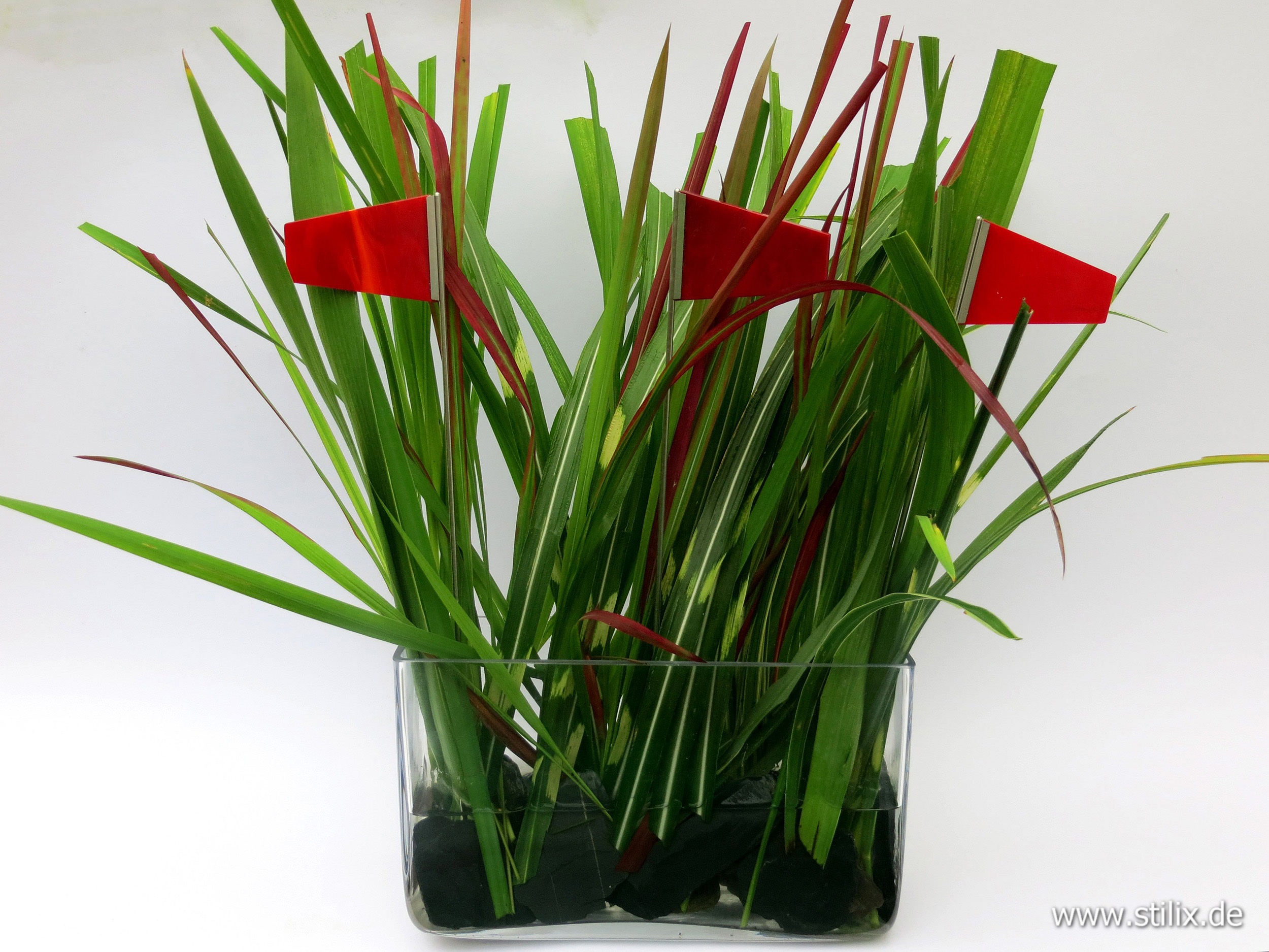 Datei dekoration/dekoration-01.jpg wurde nicht gefunden.