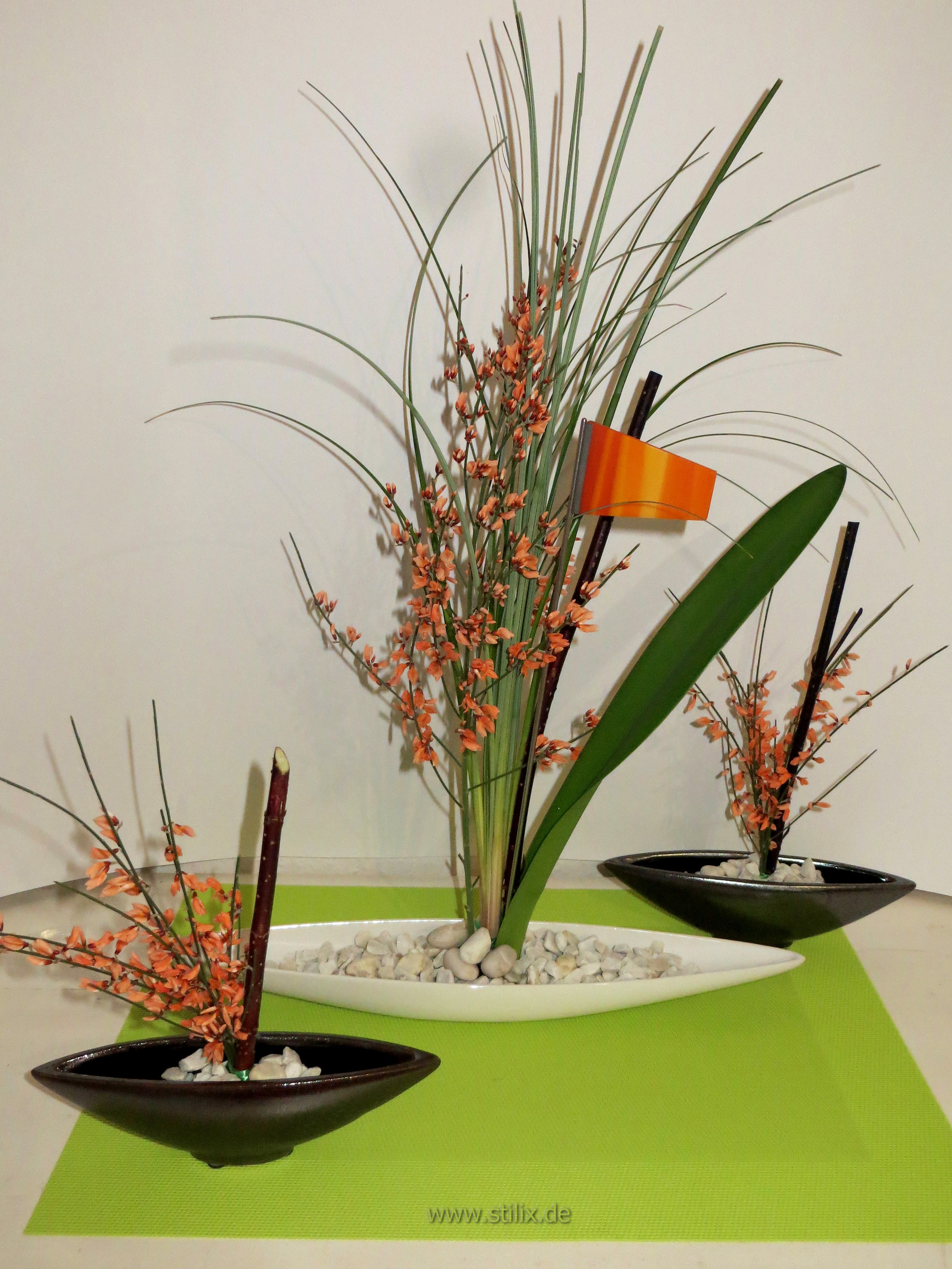 Datei dekoration/dekoration-09.jpg wurde nicht gefunden.