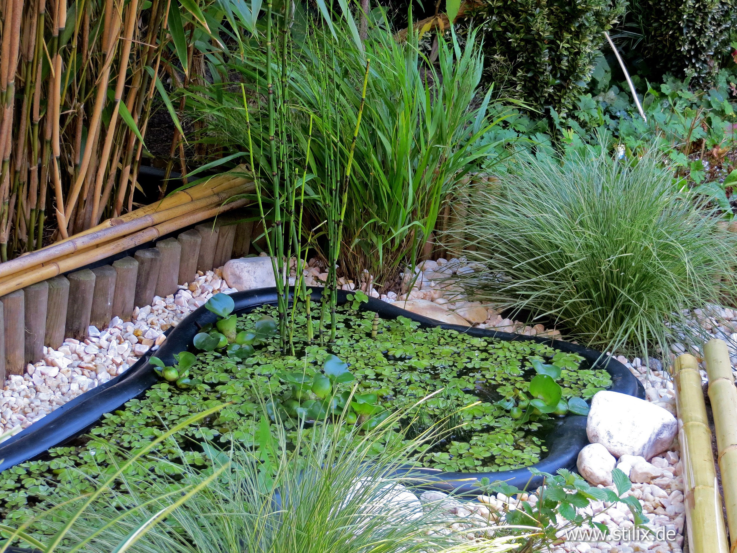 Datei farbtupfer/farbtupfer-01.jpg wurde nicht gefunden.