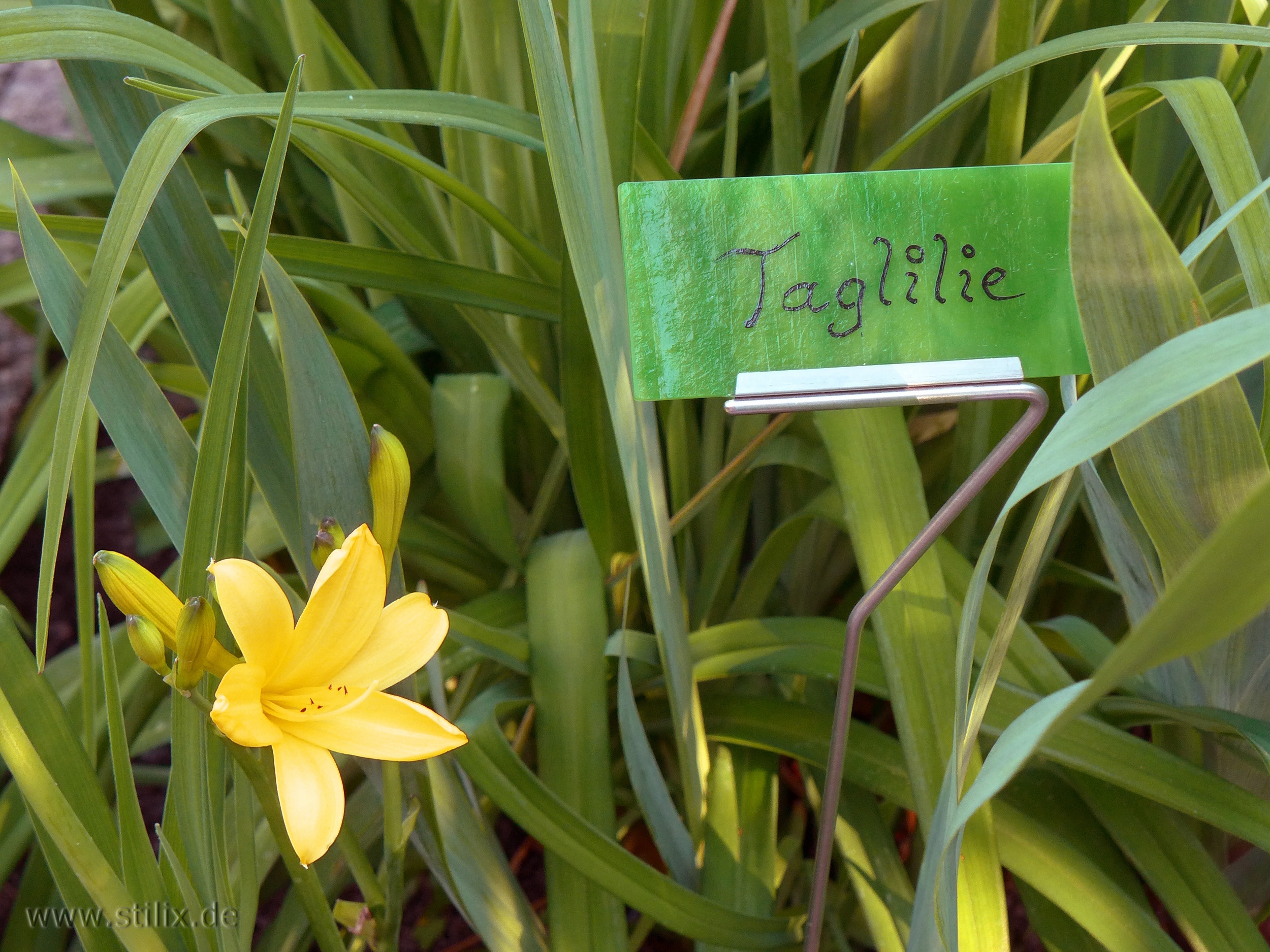 Datei fotos/garten-03.jpg wurde nicht gefunden.