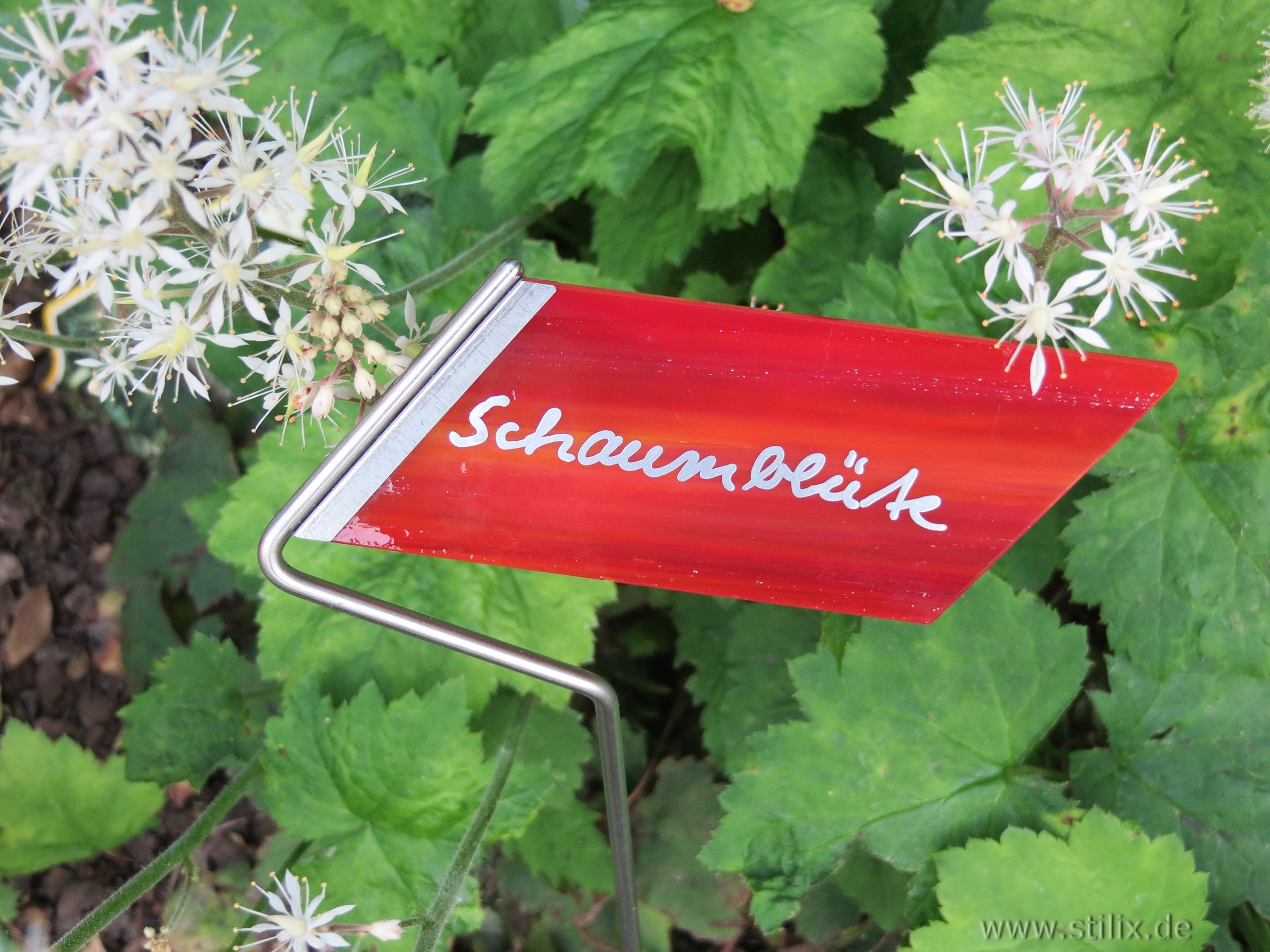 Datei fotos/garten-11.jpg wurde nicht gefunden.