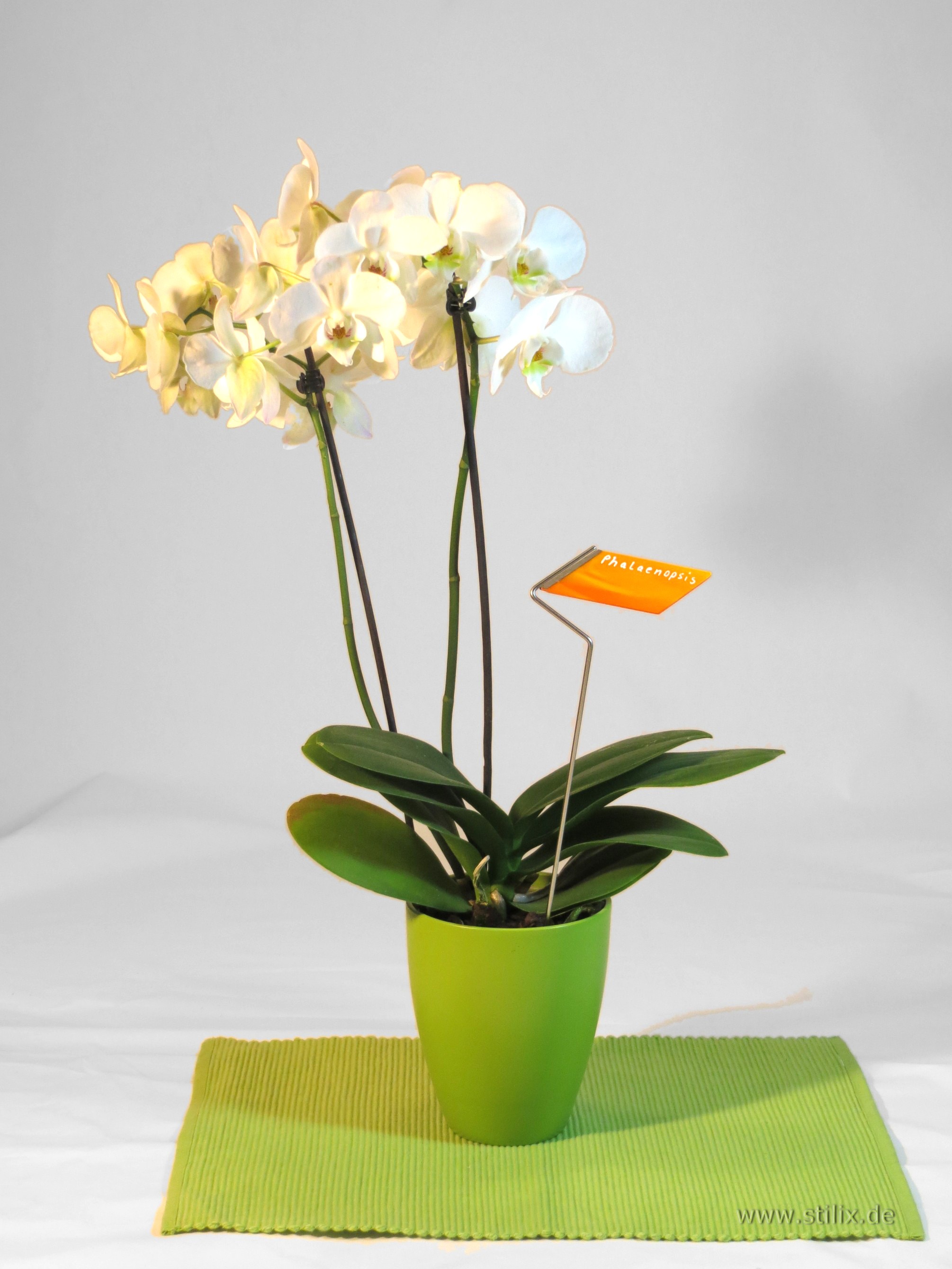 Datei fotos/toepfe-schalen-09.jpg wurde nicht gefunden.