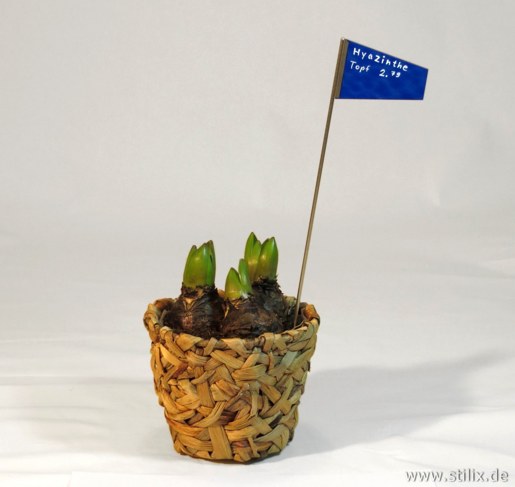 Datei preis-gruss/preis-03.jpg wurde nicht gefunden.